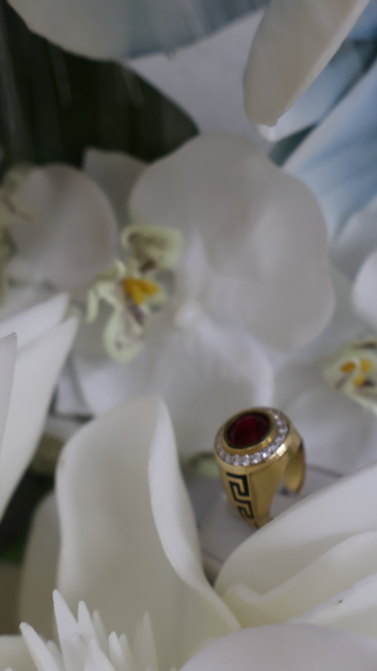 anillo de 10k de hombre piedra roja y circonia