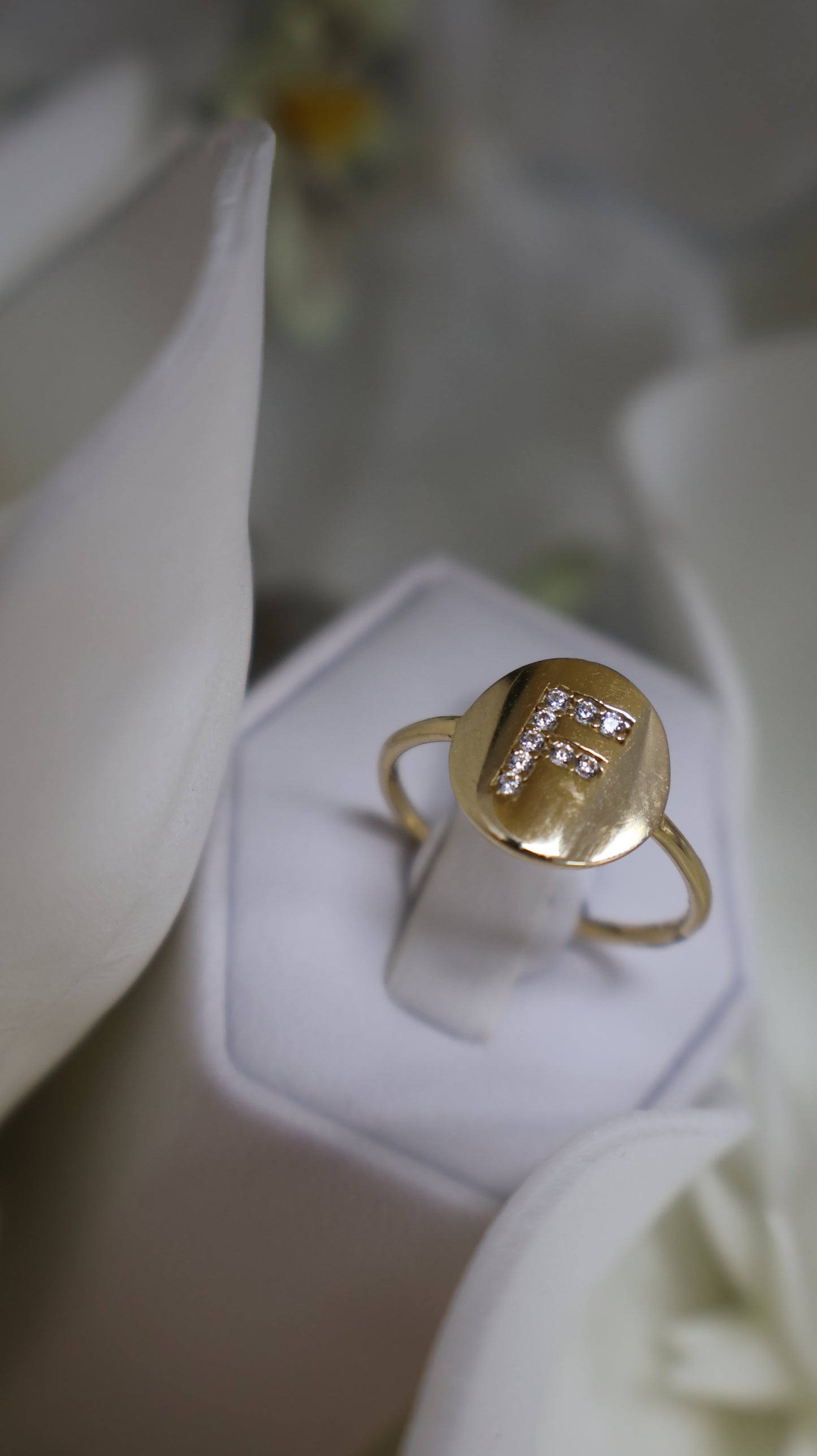 anillo de letra en el centro mujer y nino