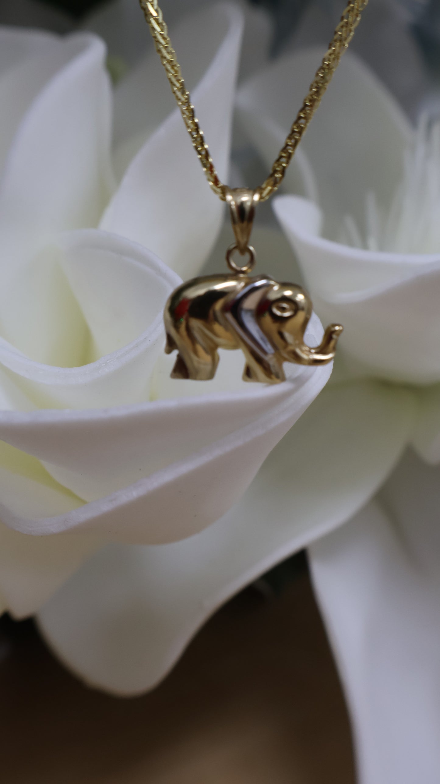 dije de 10k elefante oro 2 colores