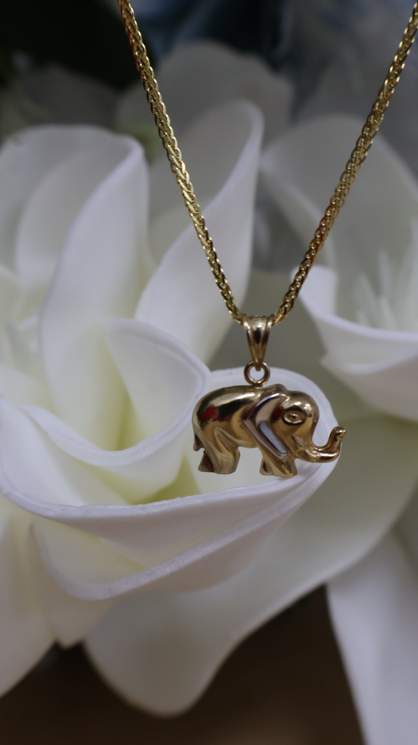 dije de 10k elefante oro 2 colores