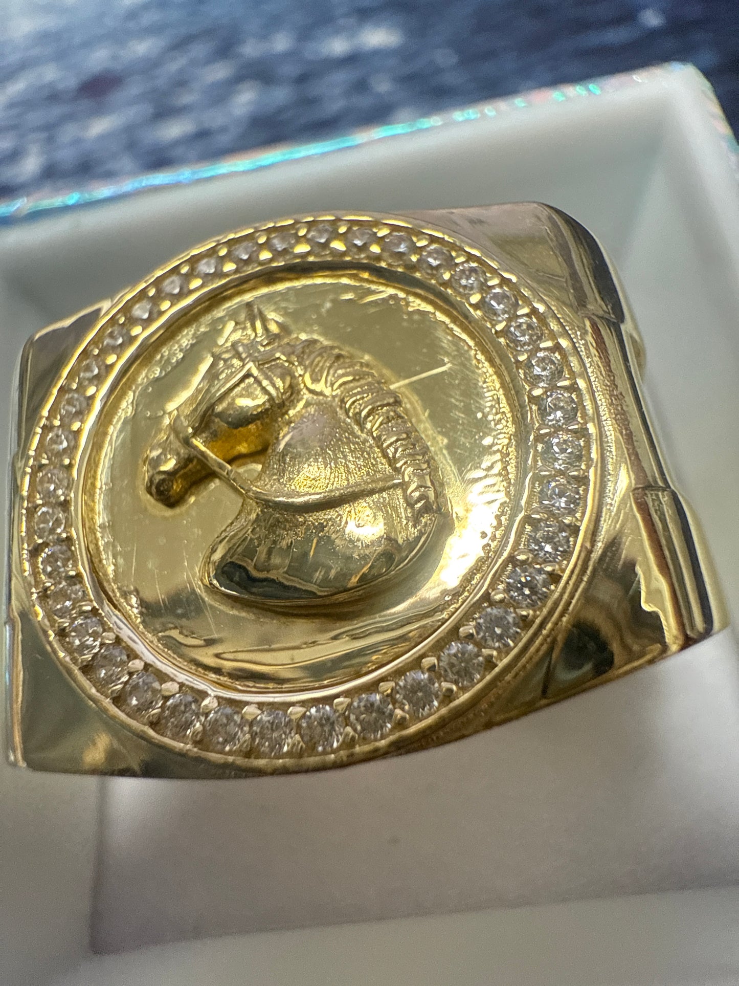 Anillo de Hombre de Caballo