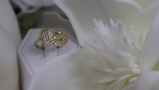 anillo 14k con ciconia