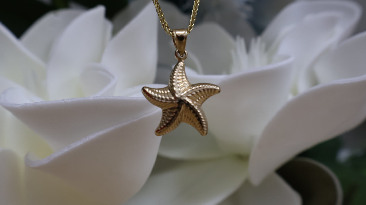 dije 14k de  estrella de mar