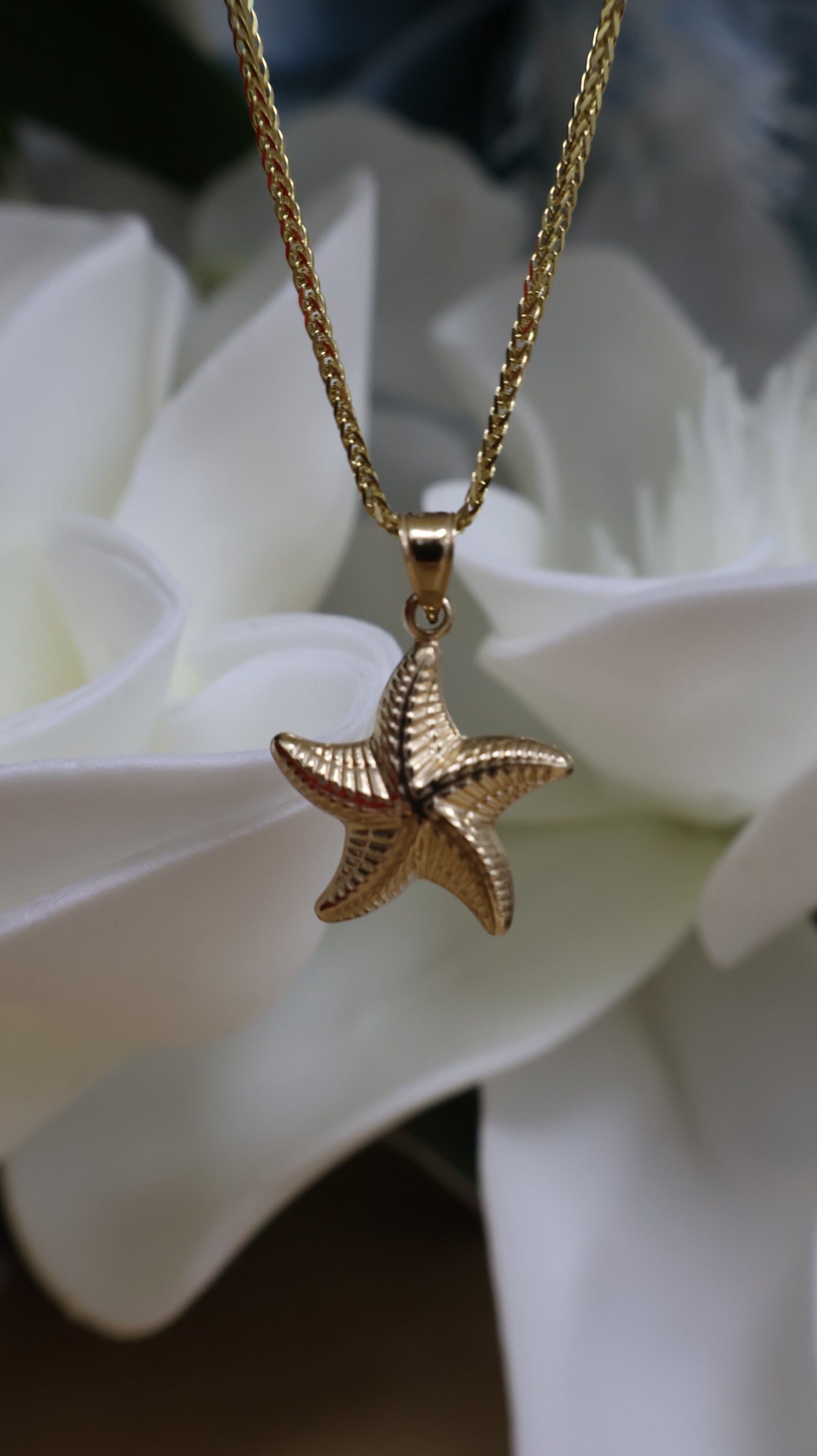 dije 14k de  estrella de mar