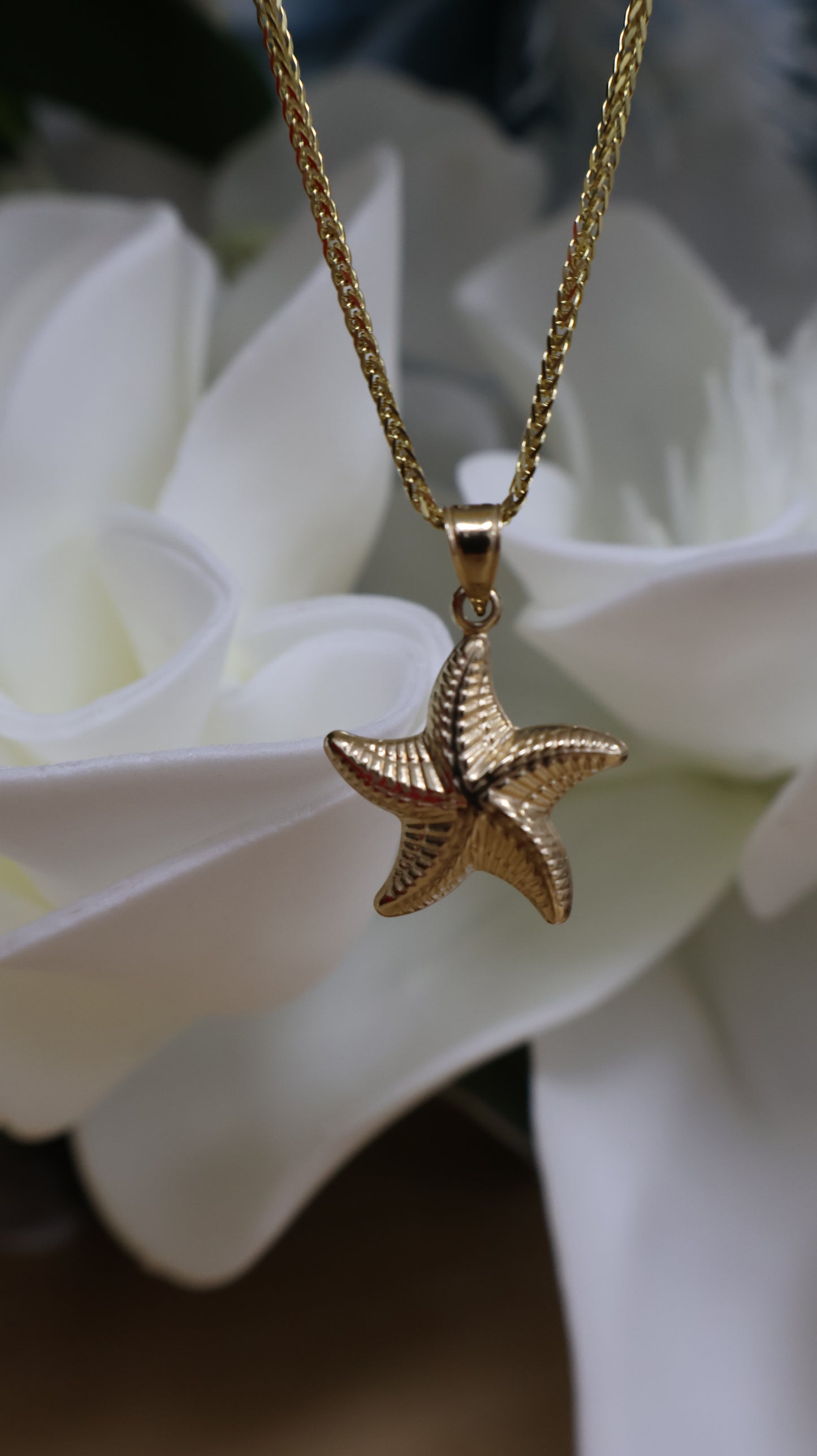 dije 14k de  estrella de mar