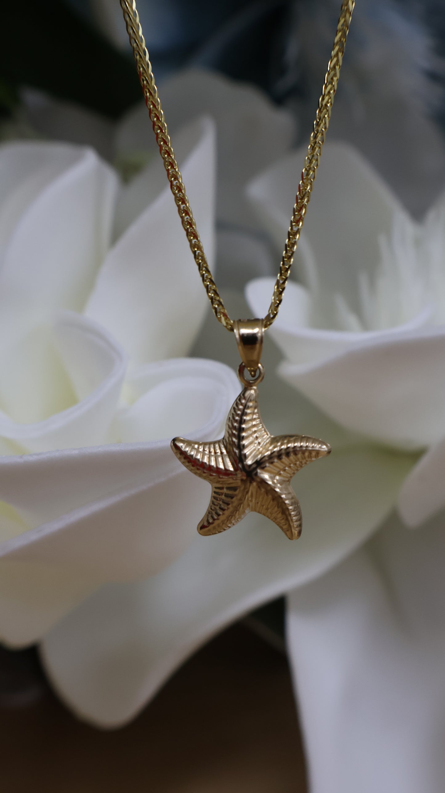 dije 14k de  estrella de mar