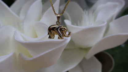 dije  de 10k elefante oro 2 colores