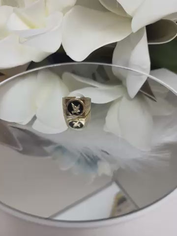Anillo de Hombre de aguila 10k
